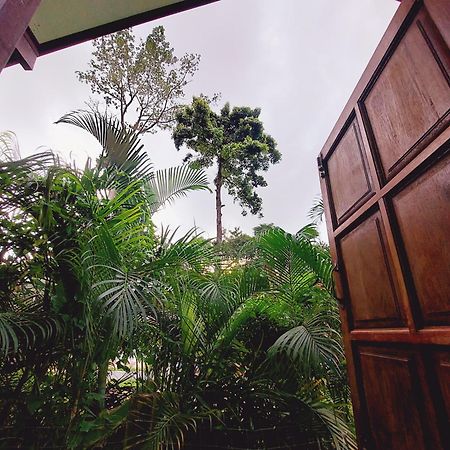 Papaya Cottage Ко Чанг Стая снимка